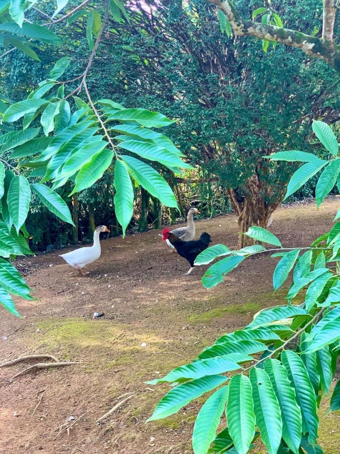 Ibiúna Casa De Campo Lazer Completo Paraiso De Reservas Naturais Em Sp מראה חיצוני תמונה